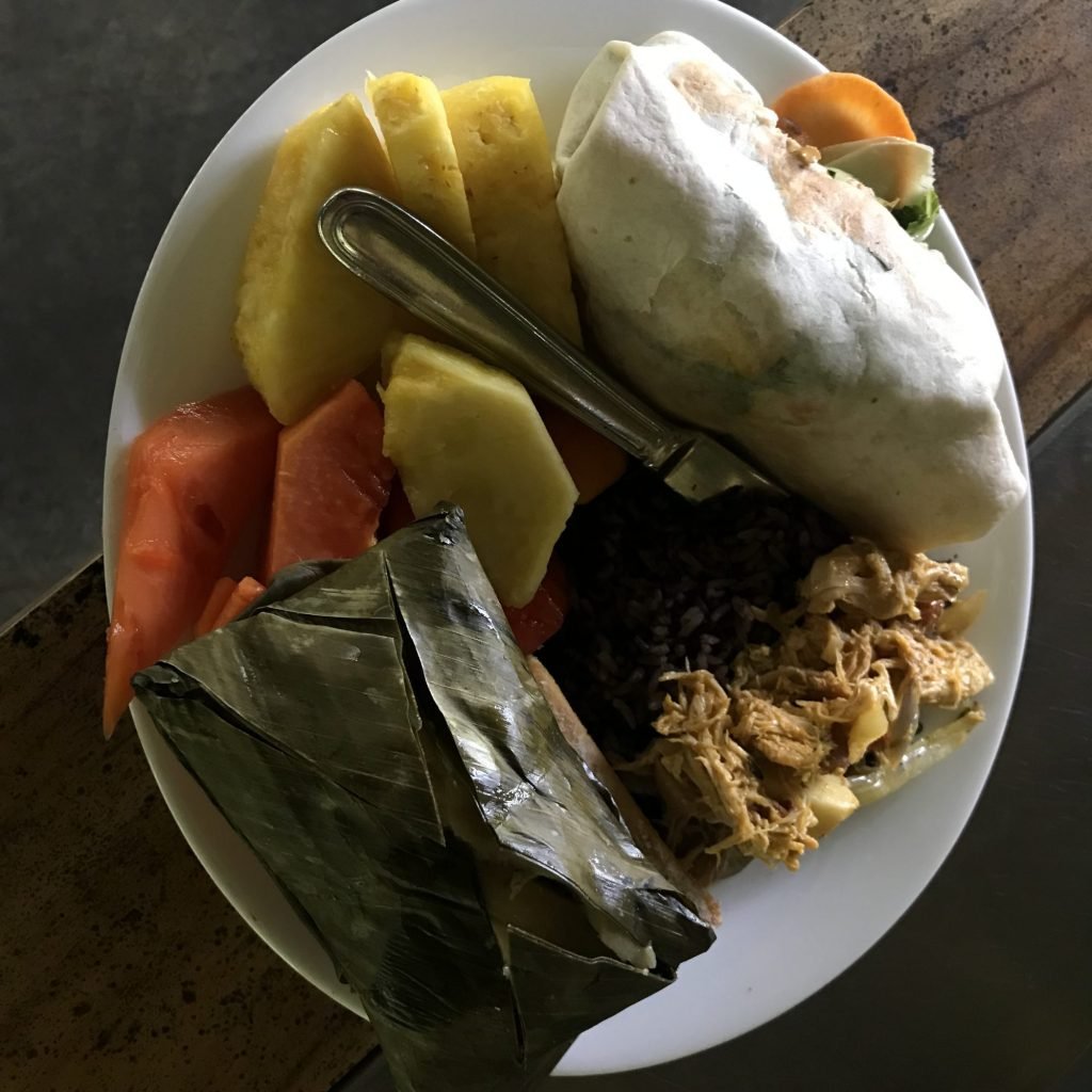 Typical Costa Rican lunch plate with rice and beans, chicken, fresh papaya and pineapple at Sirena station, Corcovado