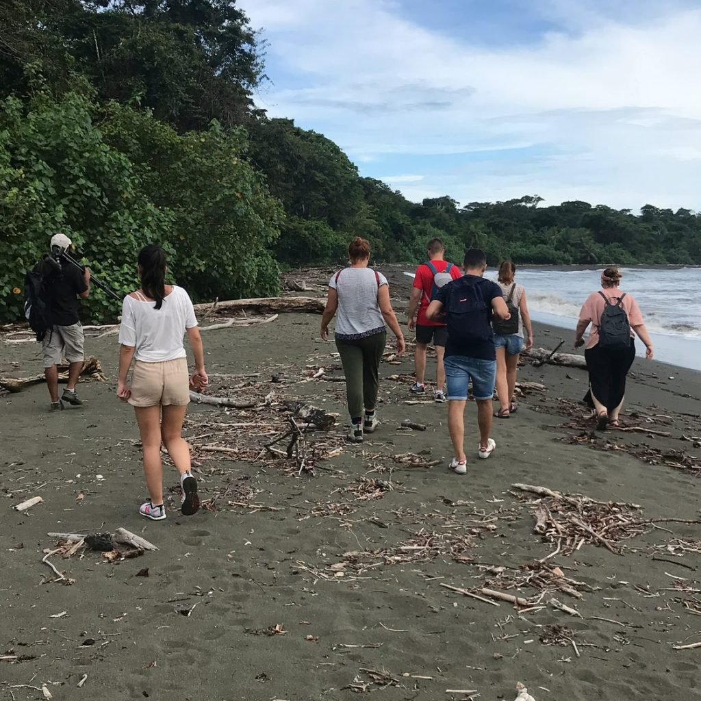 Small guided group walking along a dark-sand beach with rainforest coming down to the shoreline in Corcovado